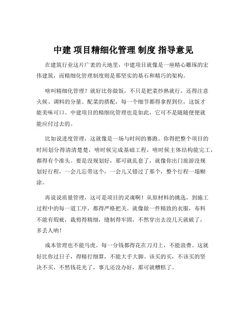 中建 项目精细化管理 制度 指导意见