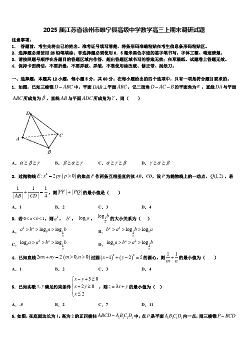 2025届江苏省徐州市睢宁县高级中学数学高三上期末调研试题含解析