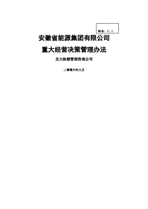 分报告安徽省能源集团有限公司重大经营决策管理办法v