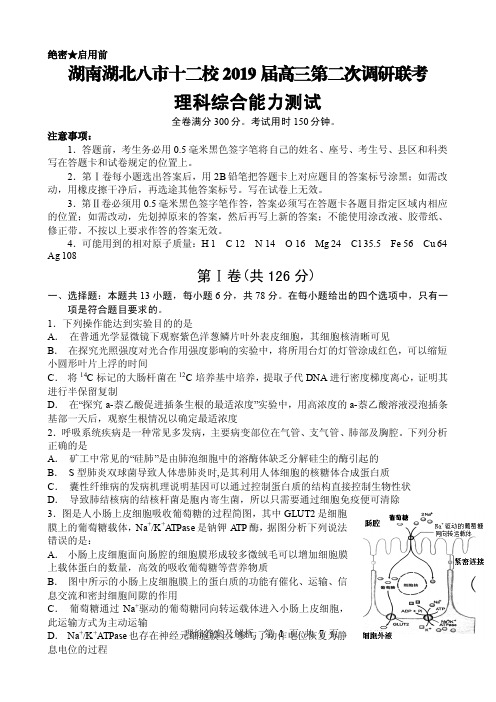 2019届湖南湖北八市十二校(湖南师范大学附属中学、衡阳八中等)高三第二次调研联考理科综合试题(PDF版)