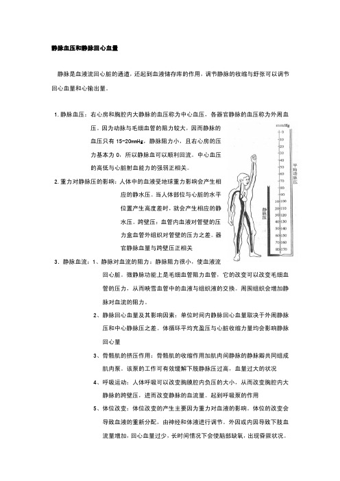 静脉血压和静脉回心血量