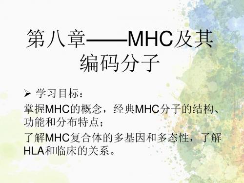 第8+9章-MHC+免疫细胞