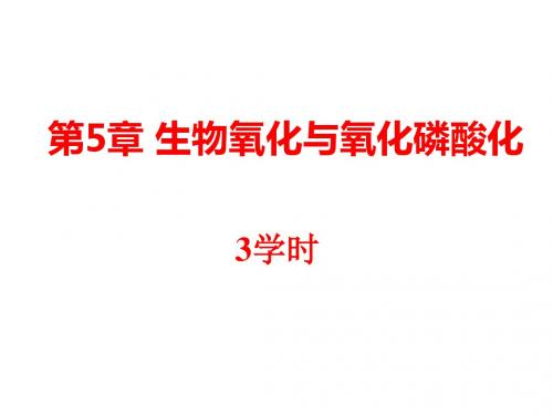 第五章生物氧化1