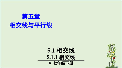 人教版初中七年级数学下册第五章教学课件