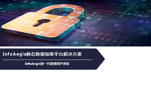 InfoAegis静态数据加密平台解决方案