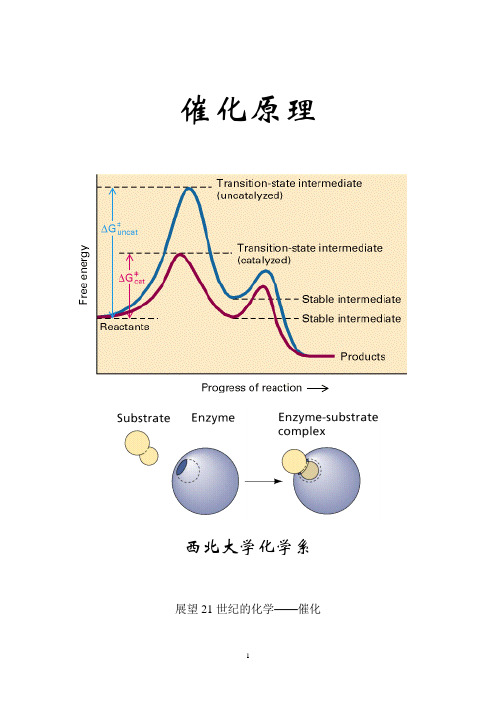 催化原理教案