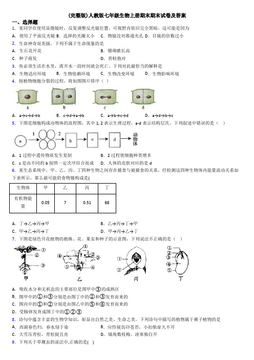 (完整版)人教版七年级生物上册期末期末试卷及答案