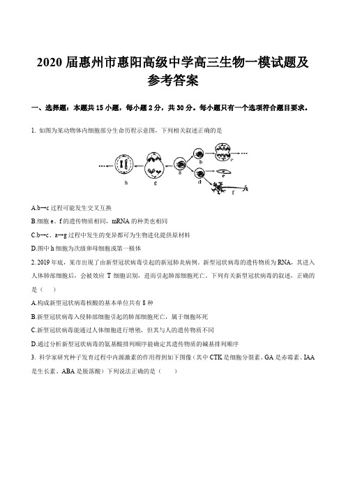 2020届惠州市惠阳高级中学高三生物一模试题及参考答案