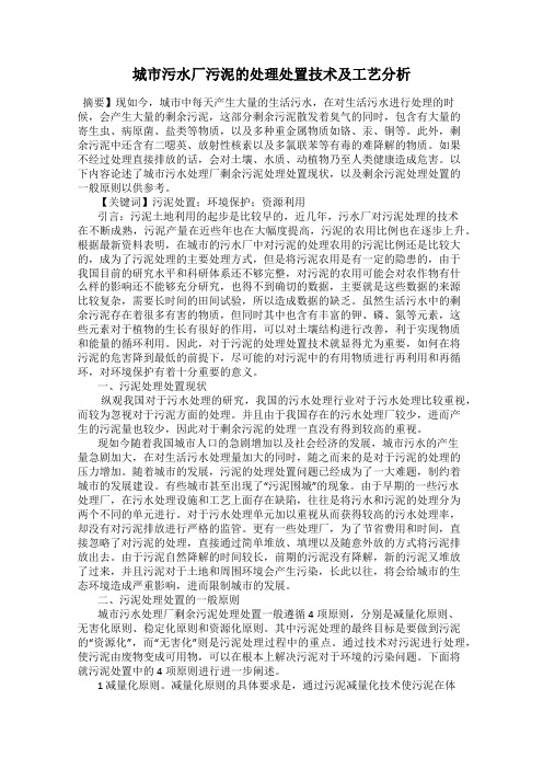城市污水厂污泥的处理处置技术及工艺分析