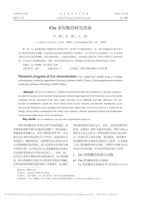 Cre重组酶的研究进展