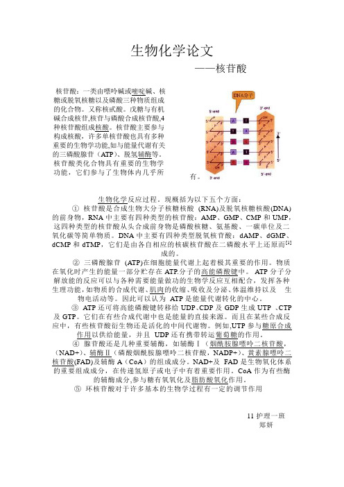 生物化学论文核苷酸