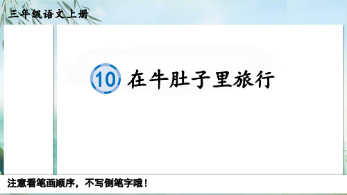 人教版部编版小学三年级上册语文《在牛肚子里旅行》名师精品课件