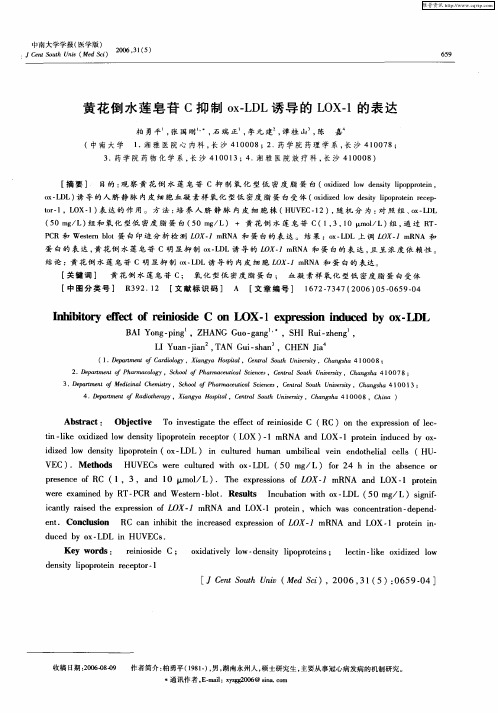 黄花倒水莲皂苷C抑制ox—LDL诱导的LOX-1的表达