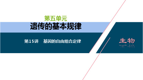 2022届高三生物一轮复习  第15讲 基因的自由组合定律(新高考 共125页)