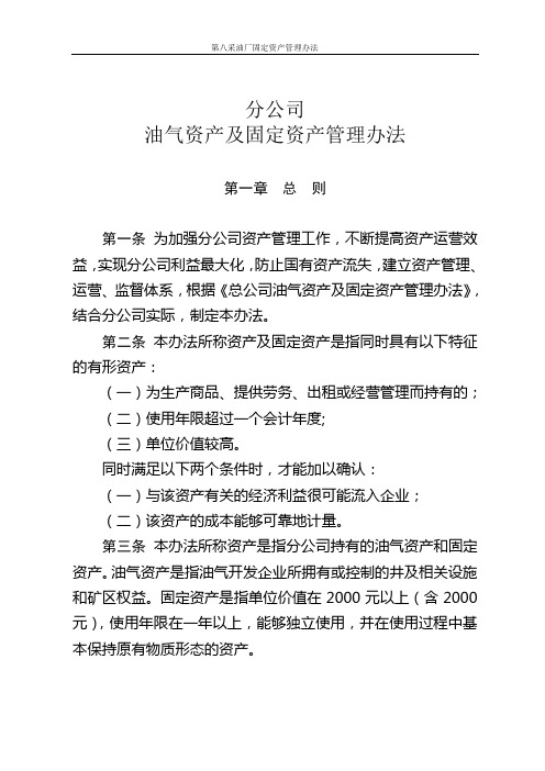 分公司资产及固定资产管理办法