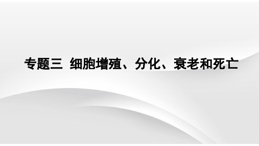 专题三细胞的增殖分化衰老和死亡(课件)【过专题】2024年高考生物二轮复习专题(新教材新高考)