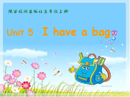 I have a bag.我有一个书包