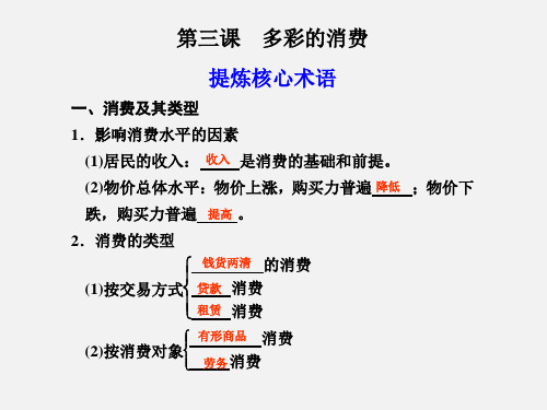 高考政治 一轮复习 第3课多彩的消费