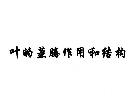 考点八、叶的蒸腾作用和结构