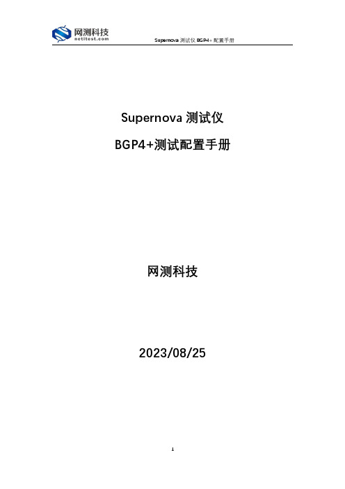 动态路由协议_BGP4+测试案例