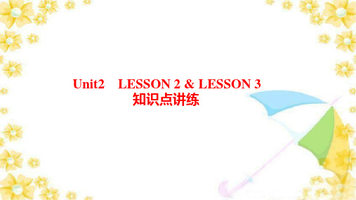 北师大选择性必修第一册_ Unit2 Success Lesson2  知识点讲练课件