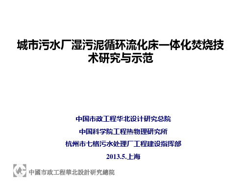 城市污水厂湿污泥循环流化床一体化焚烧技 术研究与示范