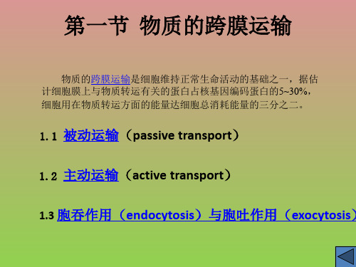 《物质的跨膜运输》课件2(16张PPT)(苏教版必修1)