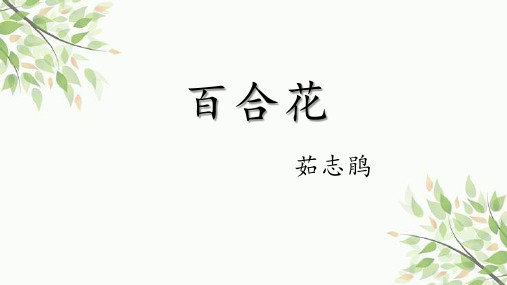 新教材《百合花》课件PPT课件高中语文必修上册部编版PPT