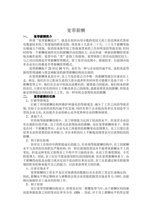 宽带薪酬(含案例)