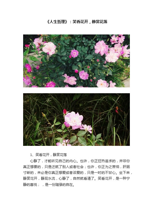 《人生哲理》：笑看花开，静赏花落