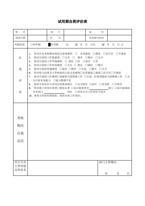 试用期自我评估表
