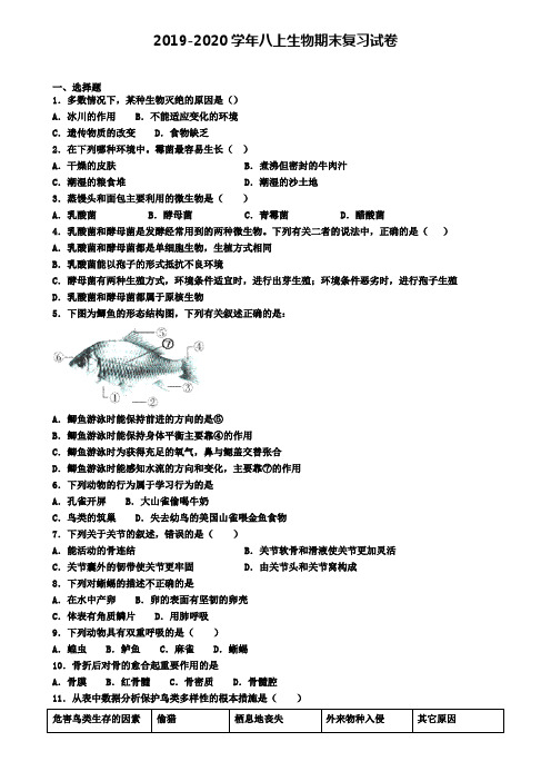 (4份试卷汇总)2019-2020学年北京市平谷区生物八年级(上)期末综合测试模拟试题