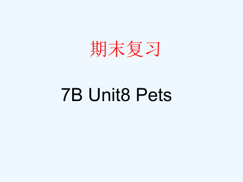 译林牛津英语新版7BUnit8Pets期末复习课件