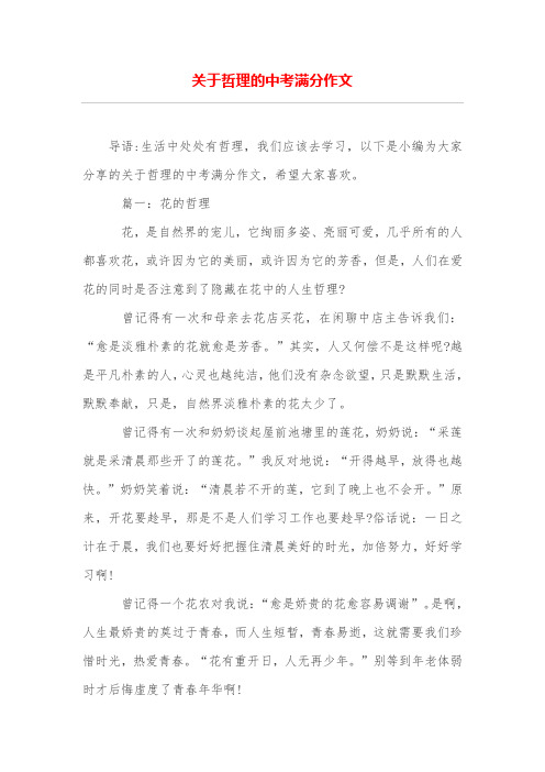 关于哲理的中考满分作文