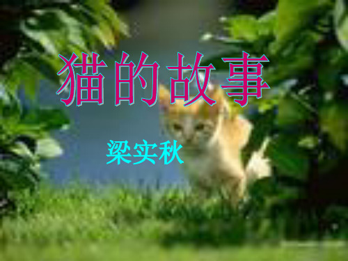 猫的故事ppt3 北师大版