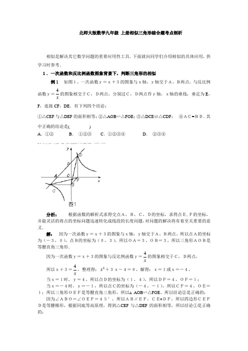 北师大版数学九年级 上册相似三角形综合题考点剖析