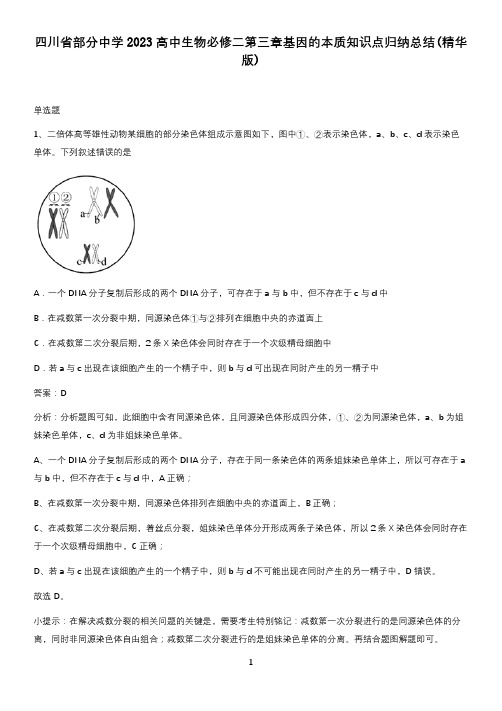 四川省部分中学2023高中生物必修二第三章基因的本质知识点归纳总结(精华版)