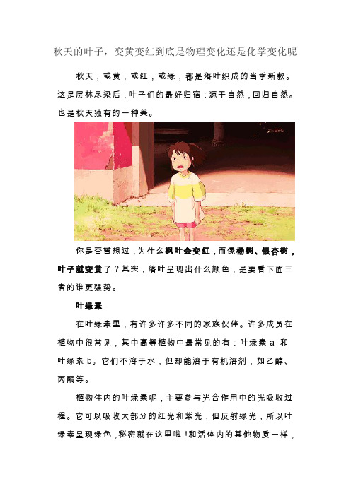 秋天的叶子,变黄变红到底是物理变化还是化学变化呢