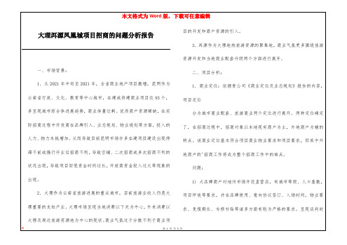 大理洱源凤凰城项目招商的问题分析报告