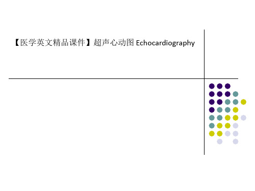 【医学英文精品课件】超声心动图 Echocardiography