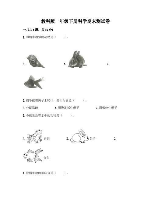 教科版一年级下册科学期末测试卷附参考答案(满分必刷)