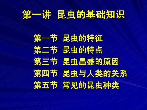 昆虫学 第一讲 昆虫的基础知识