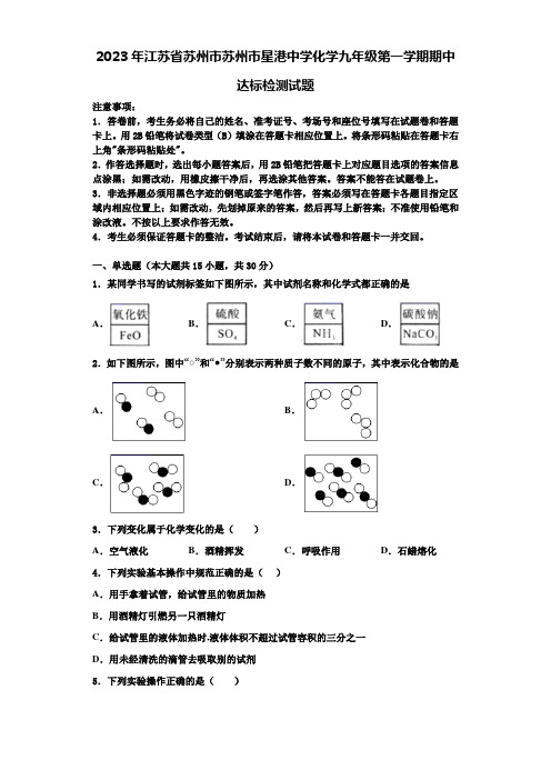 2023年江苏省苏州市苏州市星港中学化学九年级第一学期期中达标检测试题含解析