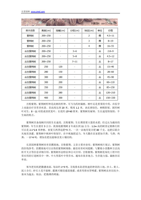 宫粉紫荆简介及价格信息