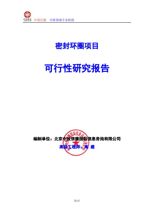 密封环圈项目可行性研究报告编写格式及参考(模板word)