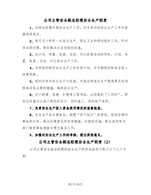 公司主管安全副总经理安全生产职责(5篇)