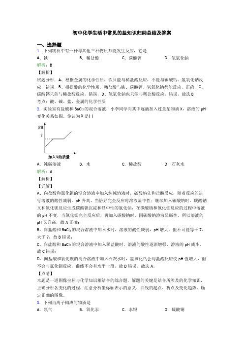 初中化学生活中常见的盐知识归纳总结及答案