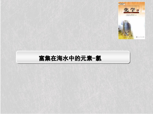 富集在海水中的元素——氯说课PPT课件40 人教课标版