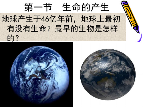 苏教版八年级生物上册1生命的诞生 课件