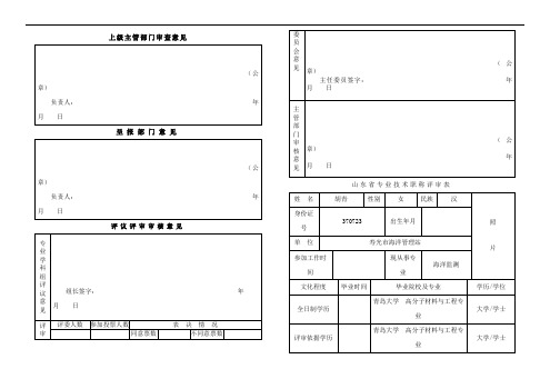 上级主管部门审查意见